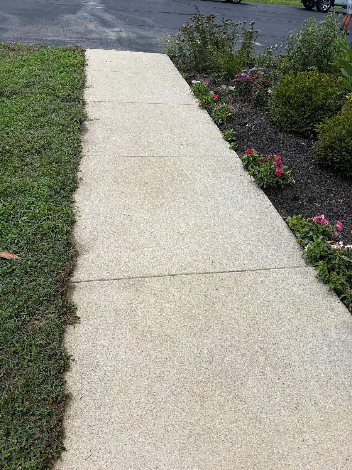 Concrete walkway after power washing in Milford Delaware