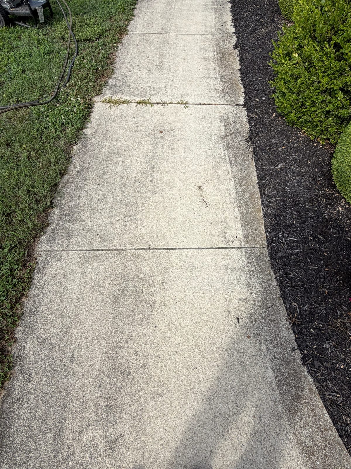 Concrete walkway before power washing in Milford Delaware