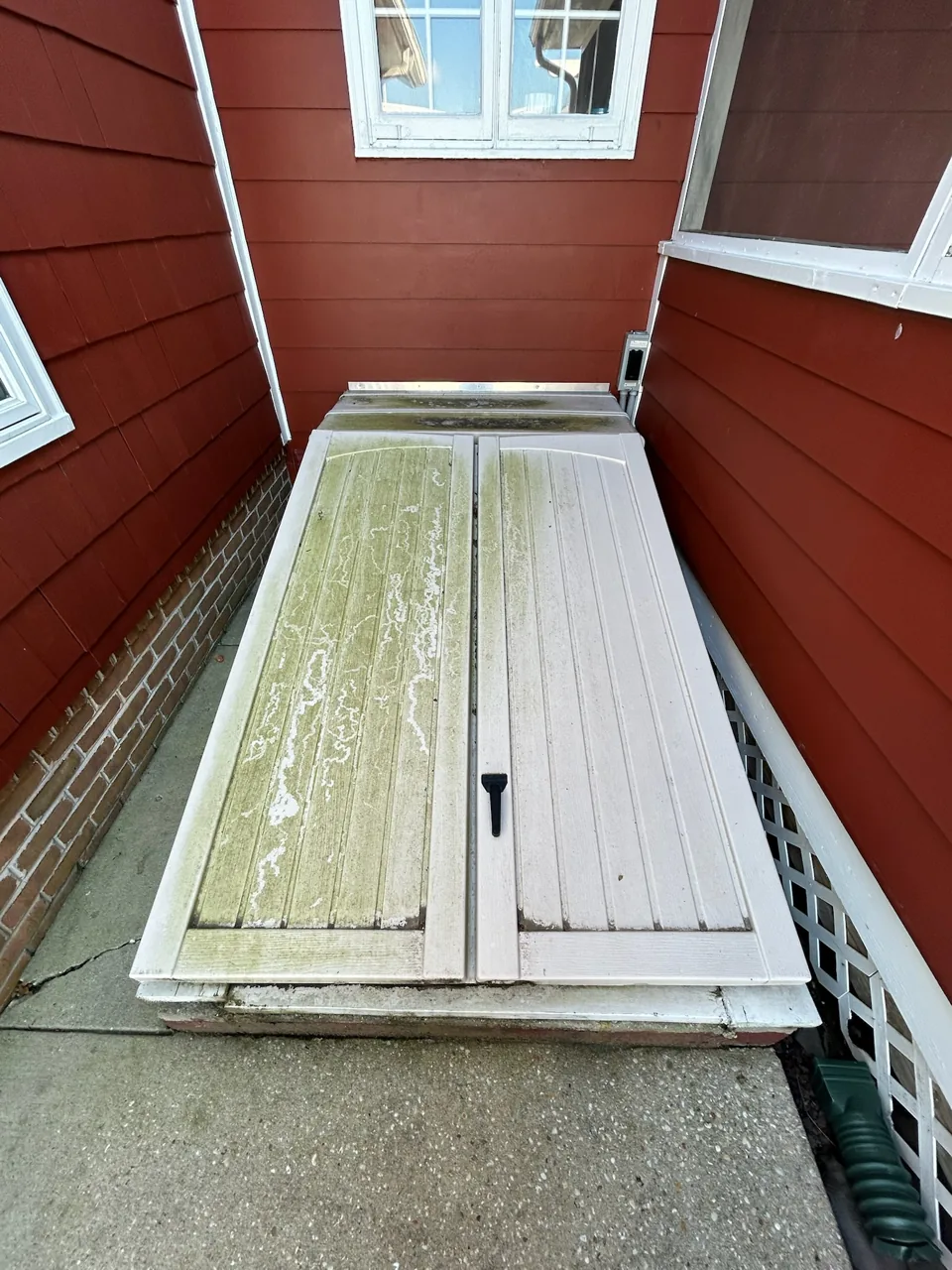 Algae-stained basement doors and adjacent concrete before cleaning